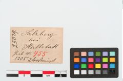 Etiketten zu Bernsteinringperle (NHMW-PRAE-025029)